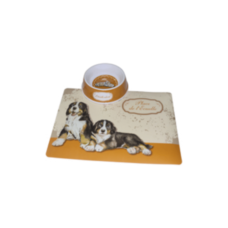 Conjunto para Cão